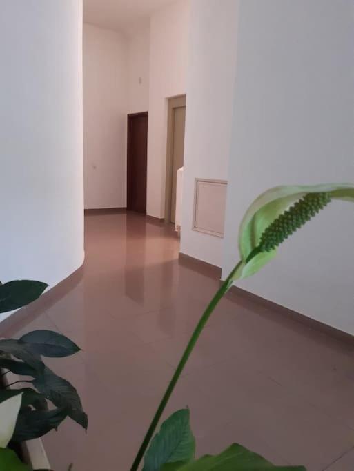 Apartamento Batalha - Quarteira, Algarve, Portugal エクステリア 写真